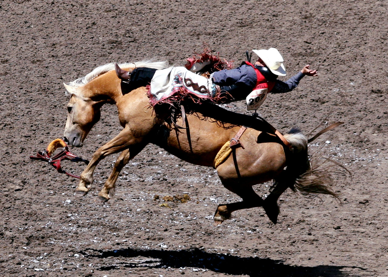 "Boots, Chaps and Cowboy Hats…. Nothing else matters !!"